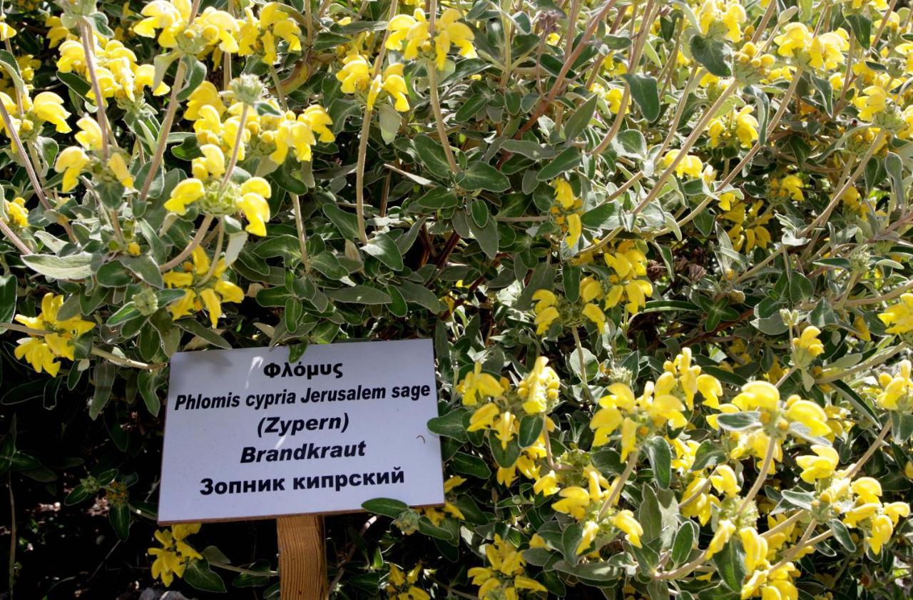 Polis Herb Garden Kültér fotó